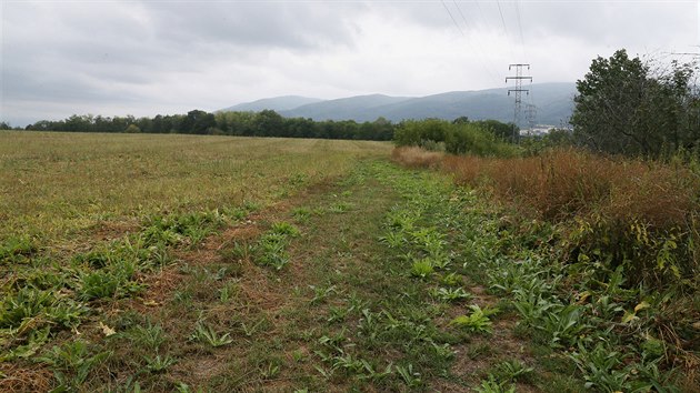 Na rozhran steck sti Veboice a katastrlnho zem Chabaovic, v mst bvalho chabaovickho letit, je chce postavit prask developersk spolenost CPI Land Development.