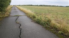 Zastavná plocha hal má být tém 13 tisíc metr tvereních, celková zastavná...