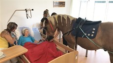 Obyvatele olomouckého domova pro seniory v�etn� lidí trpících Alzheimerovou...