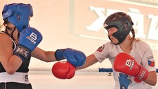 Debut Jaromíry Konené mladí (ervené rukavice) v boxerském ringu. V ústecké...