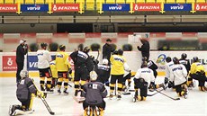 Verva Litvínov, hokejový trénink na led