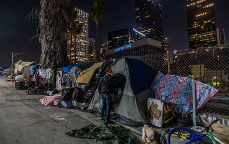 Tohle e je Amerika? Slavné ulice Los Angeles jsou dnes plné píny a...