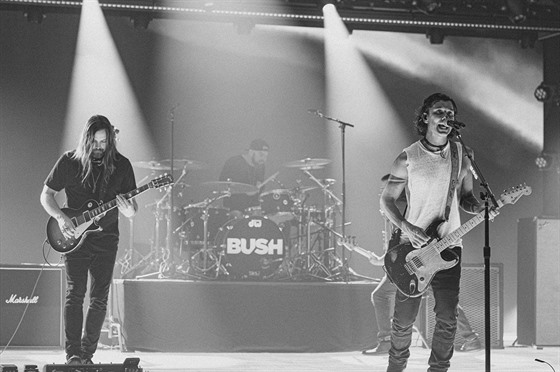 Britská kapela Bush v dob vydání alba The Kingdom