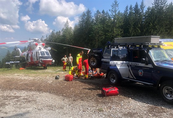 Ván zranného cyklistu musel do nemocnice transportovat vrtulník. (16. srpna...