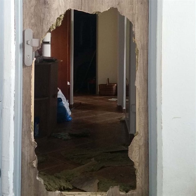 Policisté museli prokopat díru do dveí, aby se do bytu dostali.