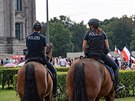 Zelená mláde nechce, aby police zasahovala na demonstracích s pomocí koní i...
