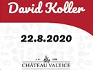 David Koller - Hudba na vinicích