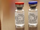 Ob dávky vakcíny Gam-COVID-Vac Lyo (Sputnik V) urené proti viru SARS-CoV-2....