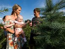 Zákazníci si 11. srpna 2020 vybírají vánoní stromek na plantái v prostjovské...