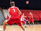 Tomá Satoranský pihrává na tréninku eských basketbalist v Nymburce ped...