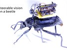 Svt pohledem hmyzu. Amerití vdci vyvinuli miniaturní kameru, kterou unese i...