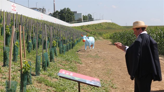 Vinohrad a jeho produkty maj dotvet image elektrrny. Nebudou ve volnm prodeji. Nicmn vinohrad je voln pstupn. Jeho atmosfru dokresluje zvonika s vyezvanmi vinaskmi motivy a modr socha jadern straeny Zdeka Kuise Kuery.