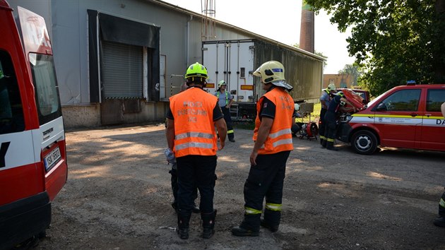 Hasii u Slanho zabrnili masivnmu hynu nosnic v drbern, kde nefungovala vzduchotechnika. (13.srpna 2020