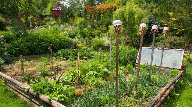 Zeleninov zhony v prodn zahrad Na Pehjku