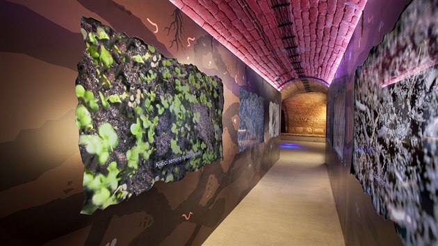 Rekonstrukce valtickho muzea vinastv, zahradnictv a krajiny zskala v souti Gloria musaealis nominaci na ocenn Poin roku.