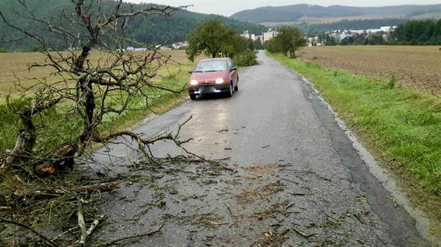 Bouřky páchaly škody i v Jihomoravském kraji. (14. srpna 2020)