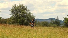 Jedním ze zp�sob� obnovy p�vodní krajiny je �etrné kosení.