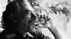 eny jsou hloupá zvíata, íkal Bukowski, pak se zmnil