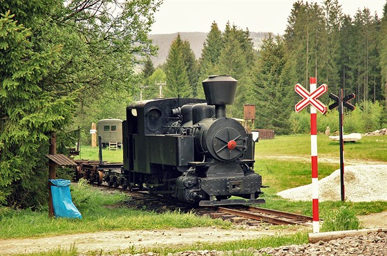 Lesní lokomotiva