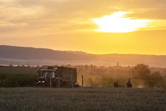 Traktor odváží sklizenou úrodu z pole nedaleko obce Křelov na Olomoucku. (léto...