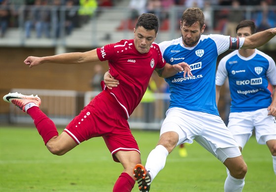 ilustra�ní snímek