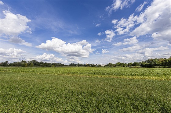Hradecká radnice uva�uje zastav�t volnou louku u zóny Kaufland bytovými domy....