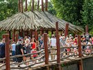 Davy n�v�t�vn�k� v zoo ve Dvo�e Kr�lov� (7. 8. 2020)