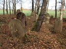 N�hrobky ze �idovsk�ho h�bitova v Lomni�ce