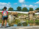 Sloni si ve zlínské zoo uívají nový rozlehlý výbh, který je základem nov...