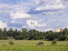 Hradecká radnice uvauje zastavt volnou louku u zóny Kaufland bytovými domy....