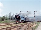Parní lokomotiva 477.043 pijídí do stanice Dolní Lipka, 12. 6. 1988.