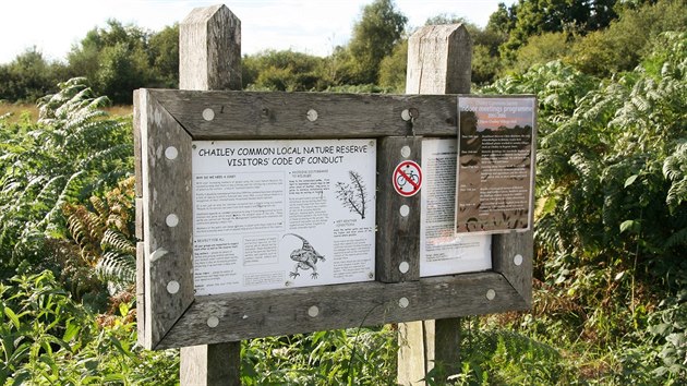 Informační tabule pro turisty v národní rezervaci Chailey Common Local Nature Reserve ve Východním Sussexu, Doplňuje ji aktuálně Koronavirovový kodex. (18. července 2020)