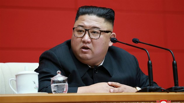 Severokorejsk vdce Kim ong-un na shromdn stednho vboru dlnick strany Koreje. Fotografii zveejnila Severokorejsk stedn zpravodajsk agentura (KCNA) 14. srpna 2020.