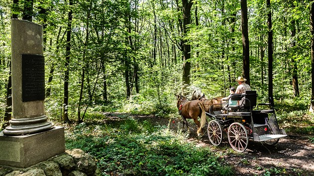 Les Svb, msto krvavch boj v bitv u Hradce Krlov. V ervenci 1866 tu padlo nejmn pt tisc vojk.