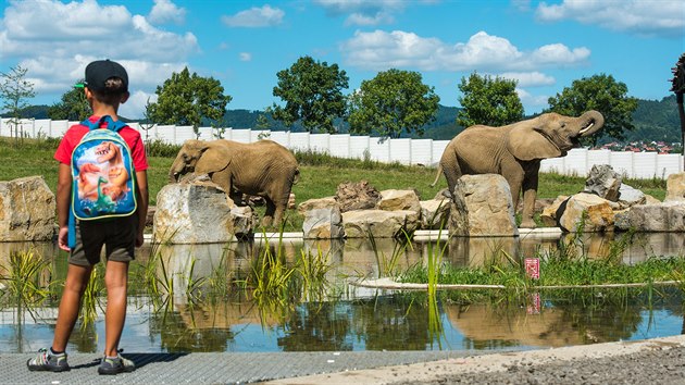Sloni si ve zlínské zoo užívají nový rozlehlý výběh, který je základem nově vznikajícího safari Karibuni.