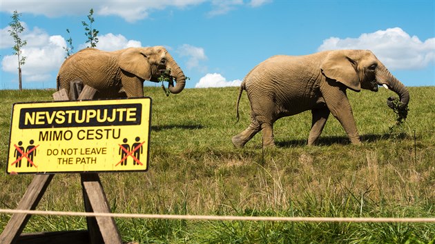 Tři slonice si ve zlínské zoo užívají nový rozlehlý výběh, který je základem nově vznikajícího safari Karibuni.
