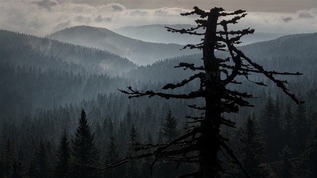 Fotografie Jiho Hejtmnka ukazuj, jak chvatn pohledy se mohou v Jesenkch naskytnout. Na snmku dol Bl Opavy z bo Vysok hole.