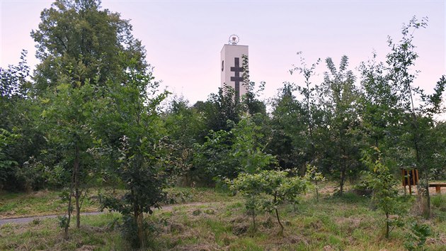 Zanedban park ve Svinov (na snmku dnen stav) se promn v oddechovou i vukovou znu. Promna pijde na miliony.