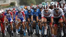 Peloton projídí tratí první etapy Tour de France 2020, která odstartovala v...