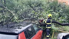 Hasii kvli boukám v Praze vyjídli k popadaným stromm (28. srpna 2020)