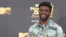 Zemel herec Chadwick Boseman, známý z filmu Black Panther