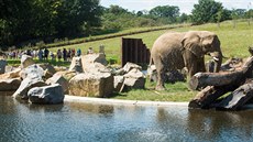 T�i slonice si ve zlínské zoo u�ívají nový rozlehlý výb�h, který je základem...