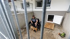 Zatoulaní psi či nechtěná štěňata byli v Olomouci desítky let umisťováni do...