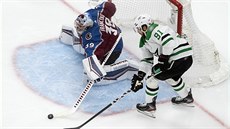 Tyler Seguin z Dallasu zkouí pekonat Pavla Francouze v brance Colorada.