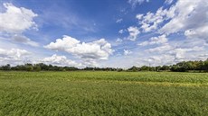 Hradecká radnice uva�uje zastav�t volnou louku u zóny Kaufland bytovými domy....