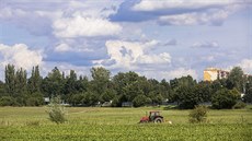 Hradecká radnice uvauje zastavt volnou louku u zóny Kaufland bytovými domy....