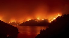 V Kalifornii bojují hasiči s téměř šesti stovkami požárů. Oheň spaluje i lesní...