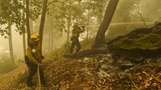Hasii v Kalifornii bojují s tém esti stovkami lesních poár. Hasii se...