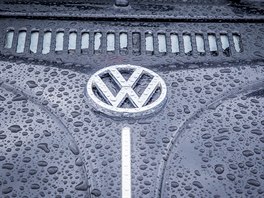Mezinárodní sraz vozidel VW na Hosíně u Budějovic