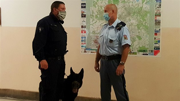 Bezpe�nostn� opat�en� p�i jedn�n� se sedmn�cti p��znivci Ban�ku Ostrava na Krajsk�m soudu v Ostrav�. (31. srpna 2020)